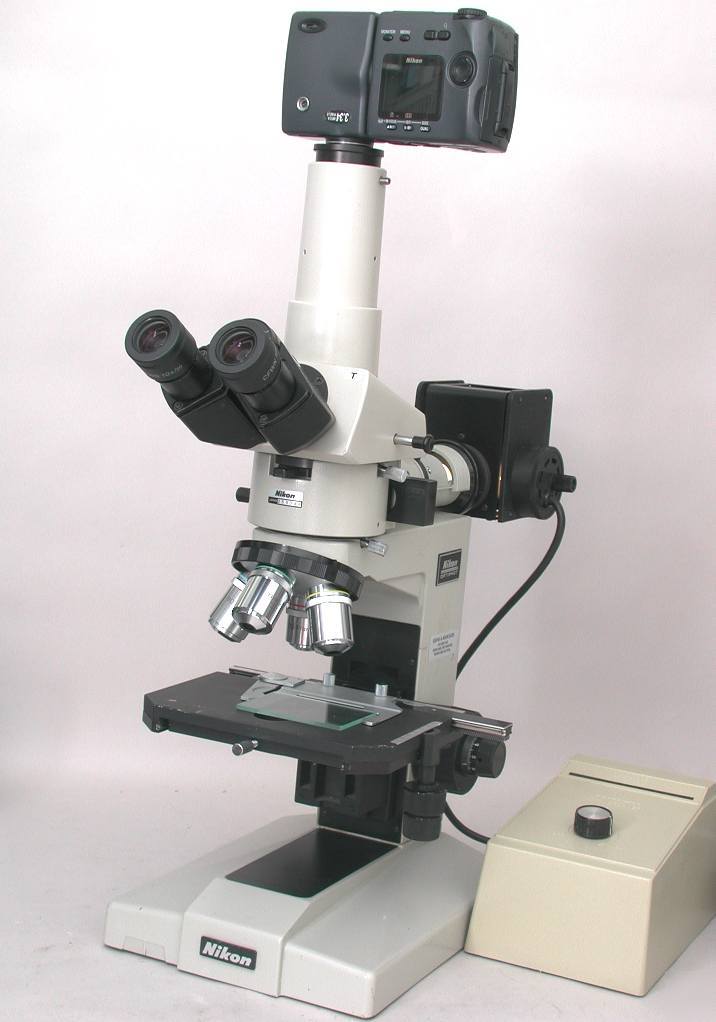 Nikon optiphot bf/df microscope w/ camera options