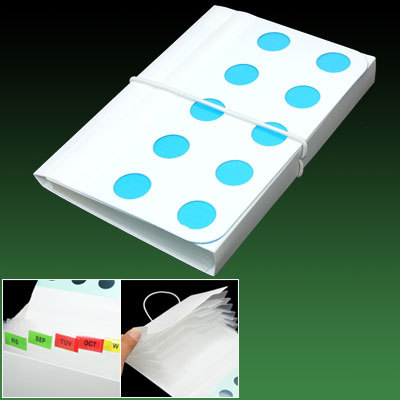 Water resistant plastic document file organizer bag
