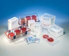 Bd anaerobic systems, bd diagnostics 260608 bd gaspak