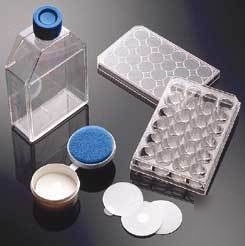 Bd biocoat cellware, poly-lysine, bd biosciences 356515