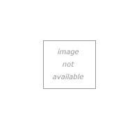 Brandt professional model infra-red lamp, timer