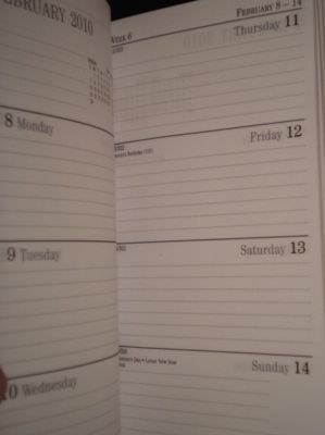  2010 at a glance fine diary twoyear monthly planner