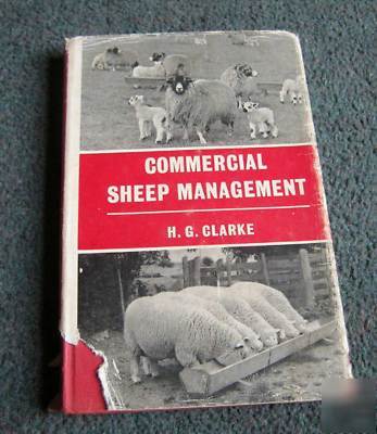 Commercial sheep management / hill farming / breeding